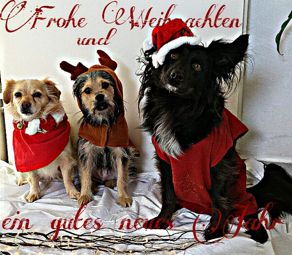Weihnachten klein.jpg