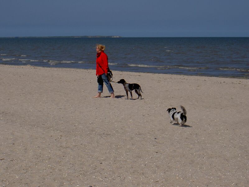 PICT0008 1.jpg