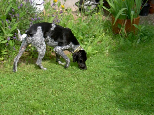 PICT0051 1.jpg