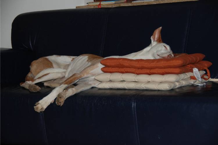 DSC_5189.JPG