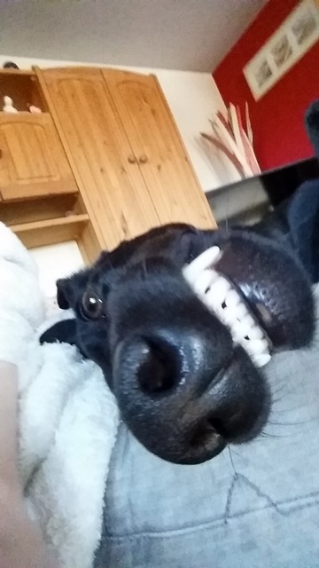 20150124_142054.jpg