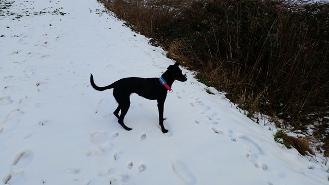 20150126_091657.jpg