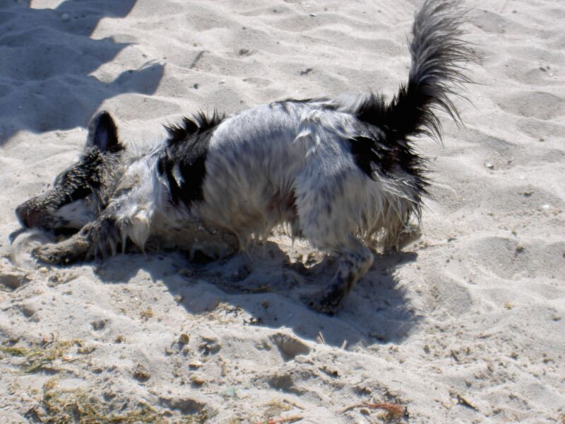 PICT0025 1.jpg