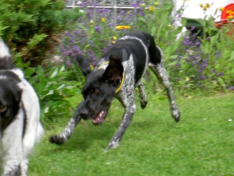 PICT0061 1.jpg