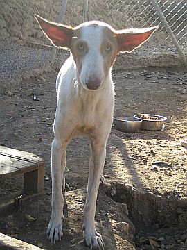 tabita1.jpg