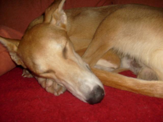 K640_S6301845.JPG