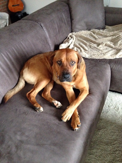 Elfie1.jpg