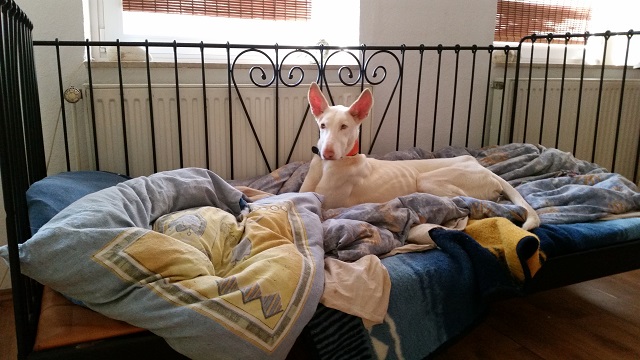 20150214_124216.jpg