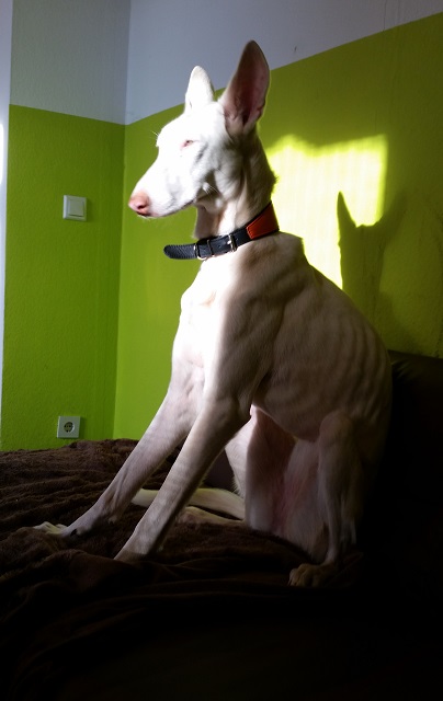 20150218_154448.jpg