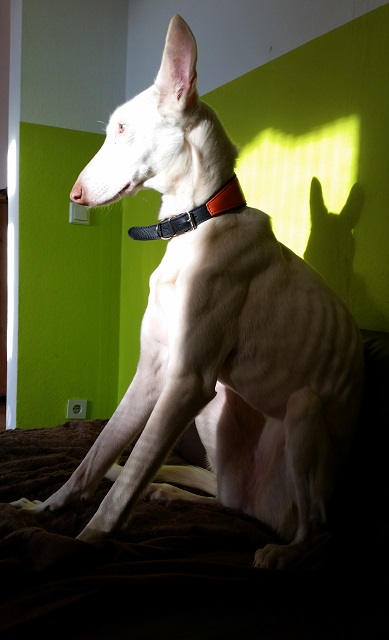 20150218_154451.jpg