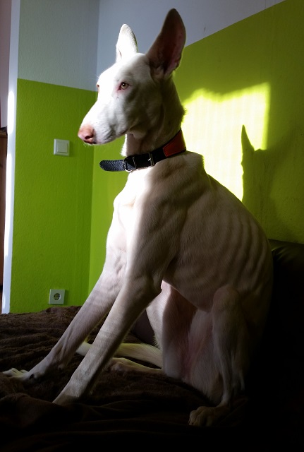 20150218_154456.jpg