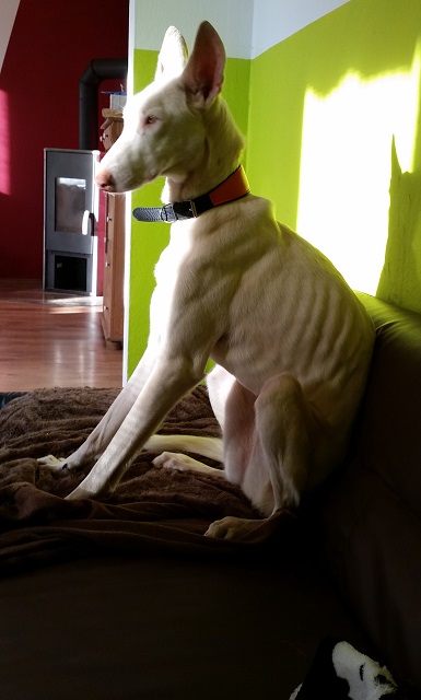 20150218_154502.jpg
