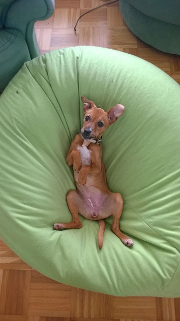 Lena (2).jpg