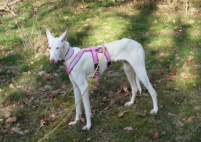 20150222_134500.jpg