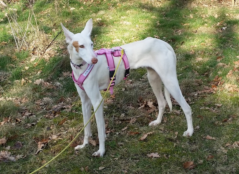 20150222_134501.jpg