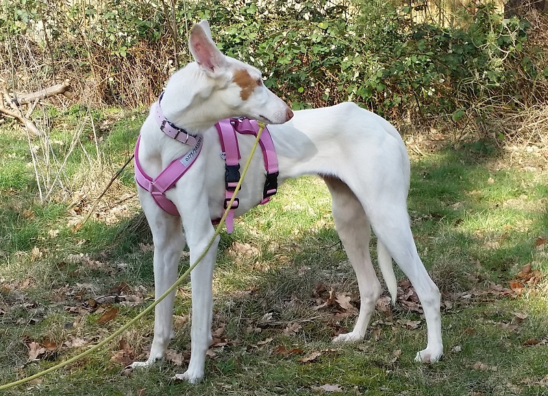 20150222_134504.jpg