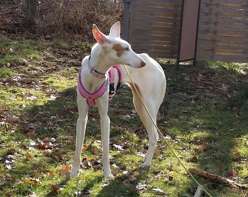20150222_134540.jpg