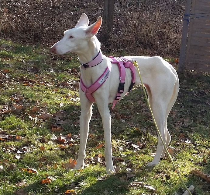 20150222_134543.jpg