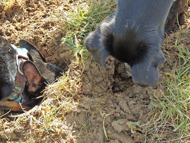 DSCN2112.JPG