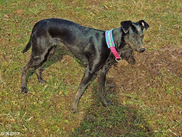 DSCN2174.JPG