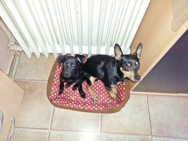 20140527_093608.jpg