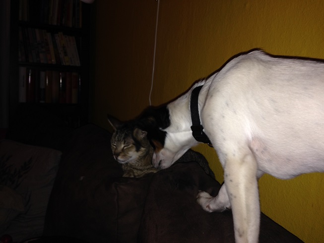 iPhone 2015_03_01 268.JPG