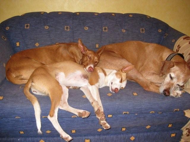 Drei auf einer Couch.jpg