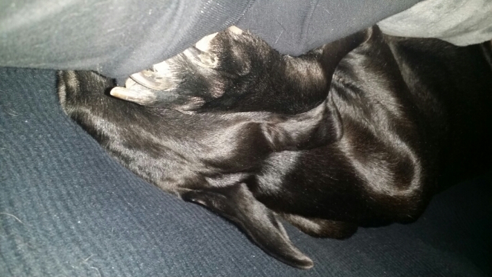 2015030908155501.jpg