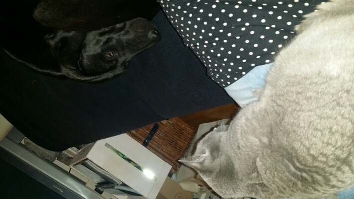 2015030908155300.jpg