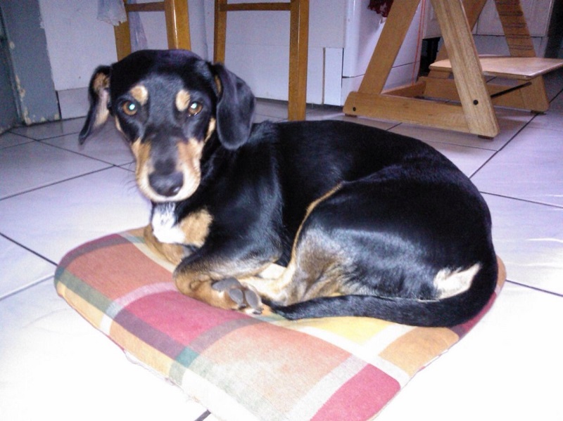 Hanni (2).jpg