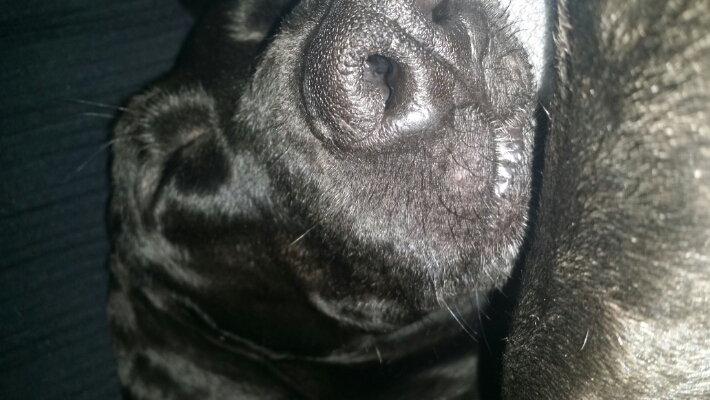2015031219425200.jpg