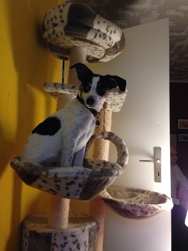 2015_03_15 iPhone Felix 006 - Kopie.JPG