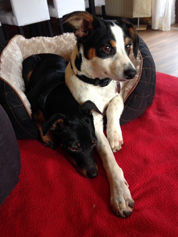 2015_03_15 iPhone Felix 027 - Kopie.JPG