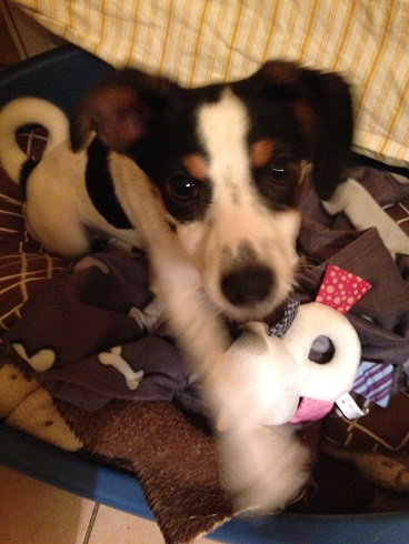 2015_03_15 iPhone Felix 057 - Kopie.JPG