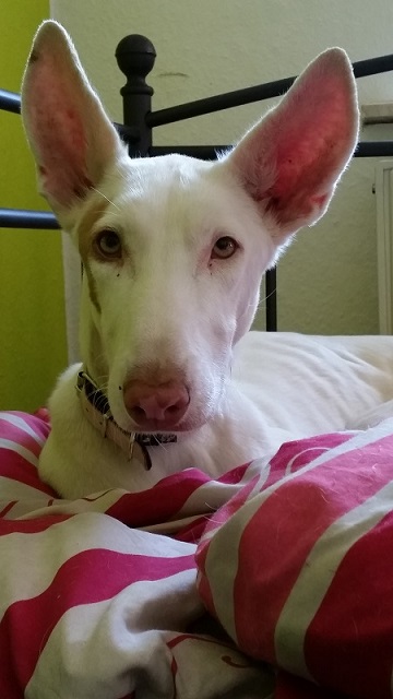20150320_144308.jpg
