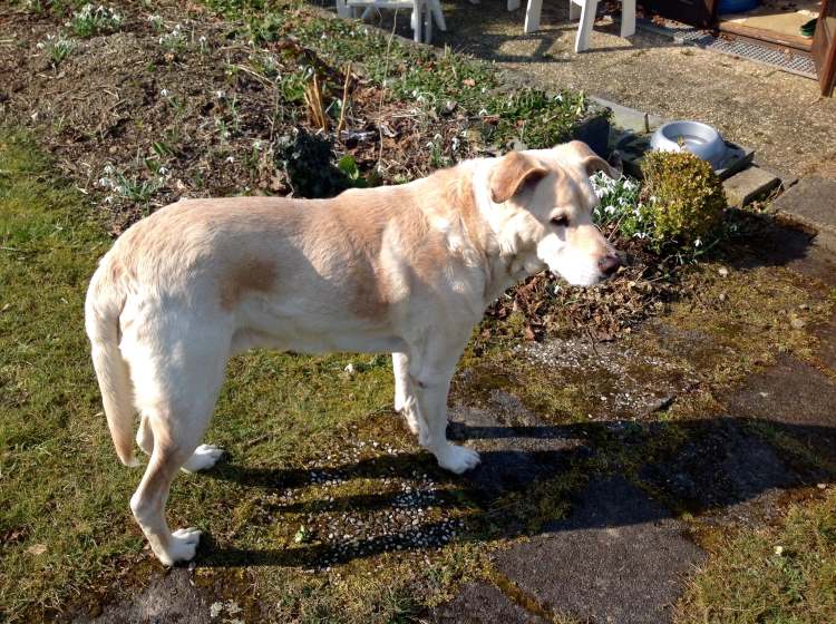 Prince im neuen zu Hause.jpg