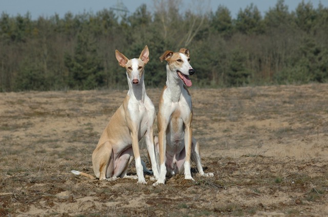 DSC_0006.jpg
