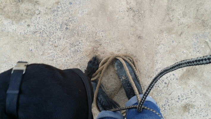 2015032216155300.jpg