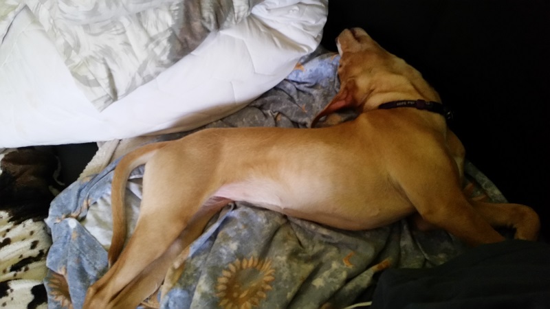 20150326_142109.jpg