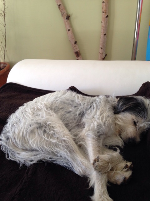 Berti (4).jpg