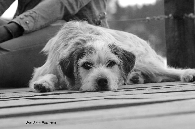 Berti (1).jpg