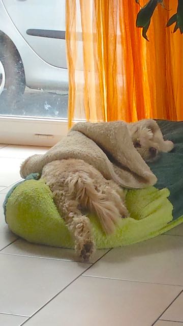 20150315_115048.jpg