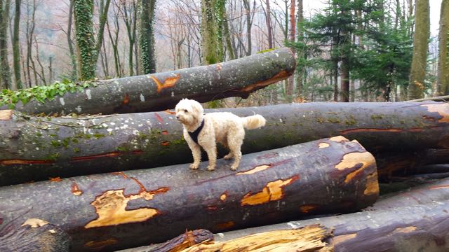 20150327_084011.jpg