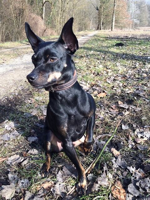 Barney (5).jpg