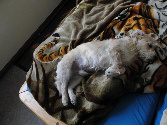 Siesta 005.JPG