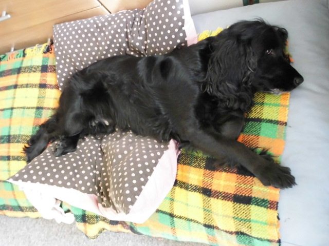 Siesta 003.JPG