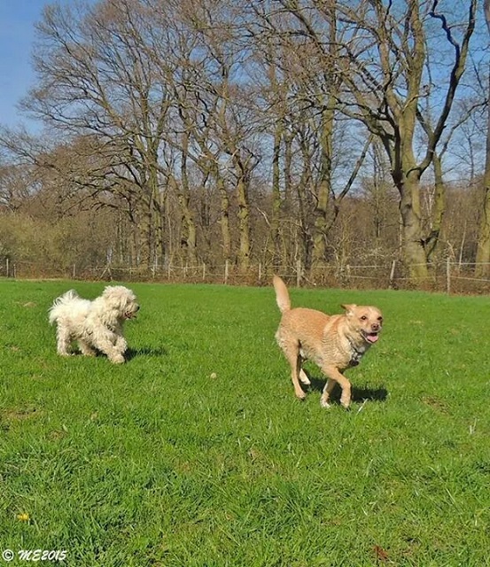 Willi (5).jpg