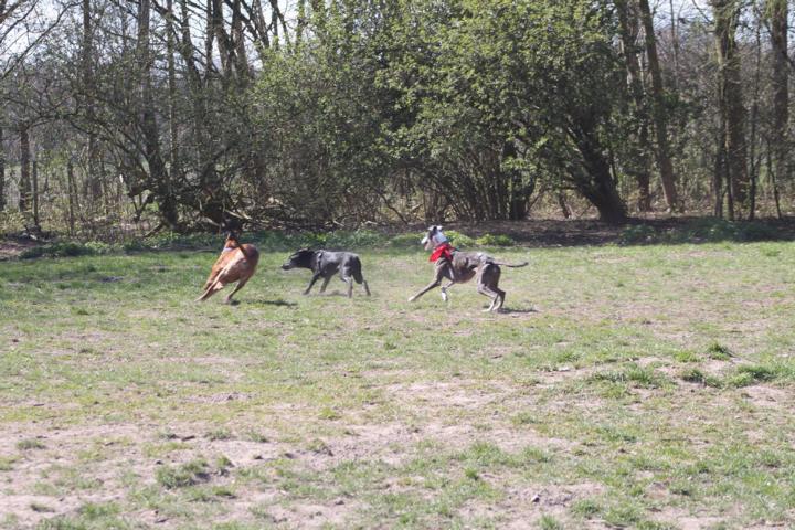 K640_11070544_858591410865288_1834895118103258394_o.JPG
