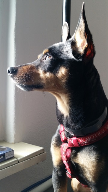 20150409_164303.jpg