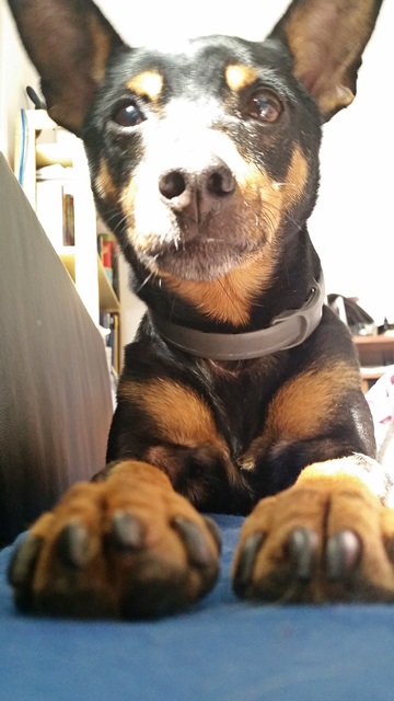 20150413_153150.jpg